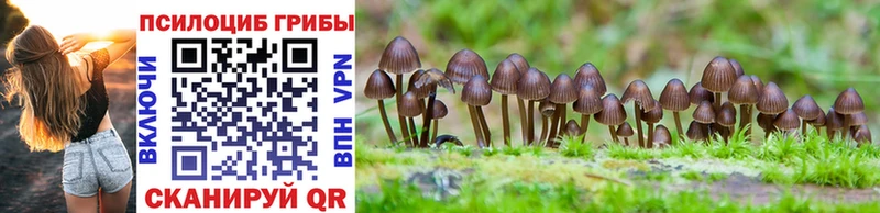 Галлюциногенные грибы Magic Shrooms  МЕГА как зайти  Циолковский 